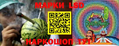 спиды Камышлов