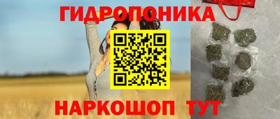 прущие грибы Канаш