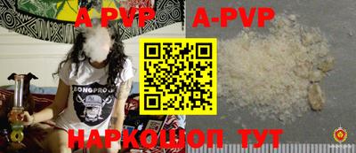 прущие крисы Кингисепп