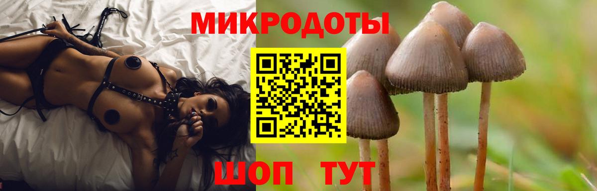 Псилоцибиновые грибы Cubensis Красный Сулин